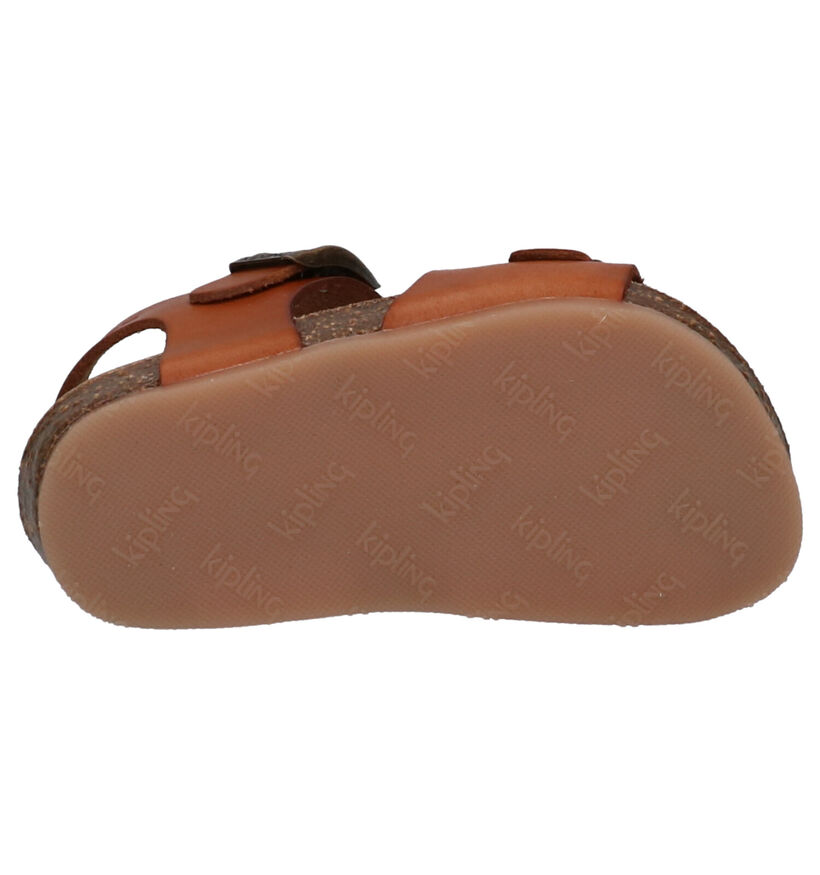 Kipling Sandales en Cognac en cuir (273164)