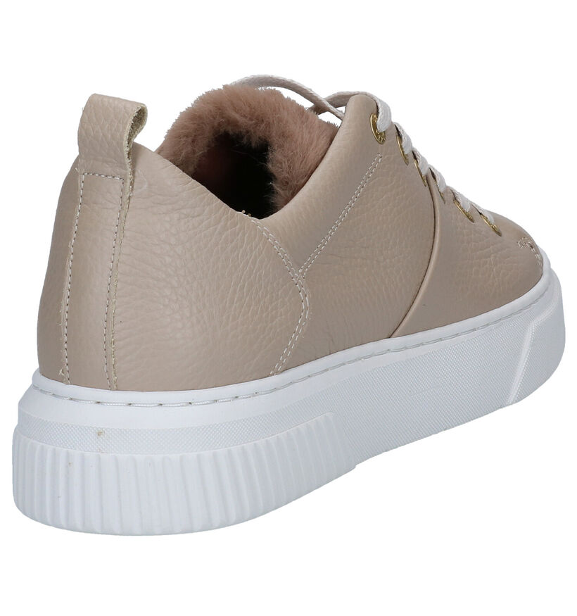 Scapa Beige Veterschoenen in leer (297901)