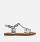 Geox J Karly Zilveren Sandalen voor meisjes (368846)