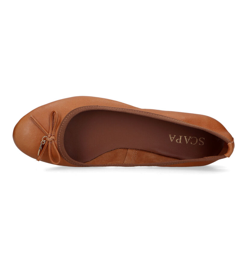 Scapa Ballerines en Cognac pour femmes (324580)