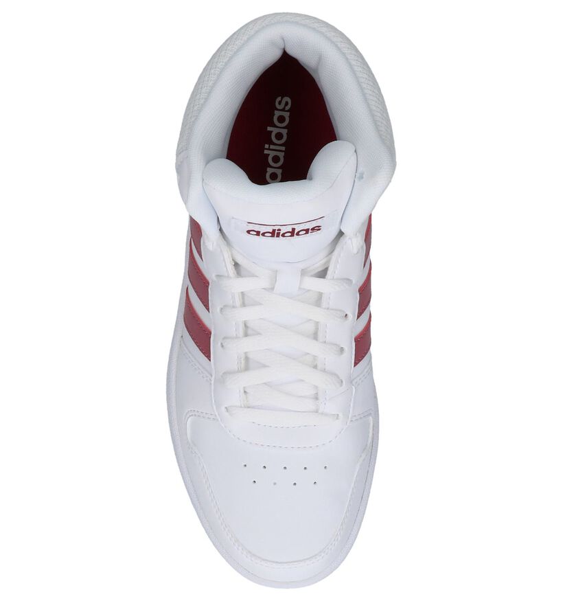 adidas Hoops Witte Sneakers voor dames (300158)