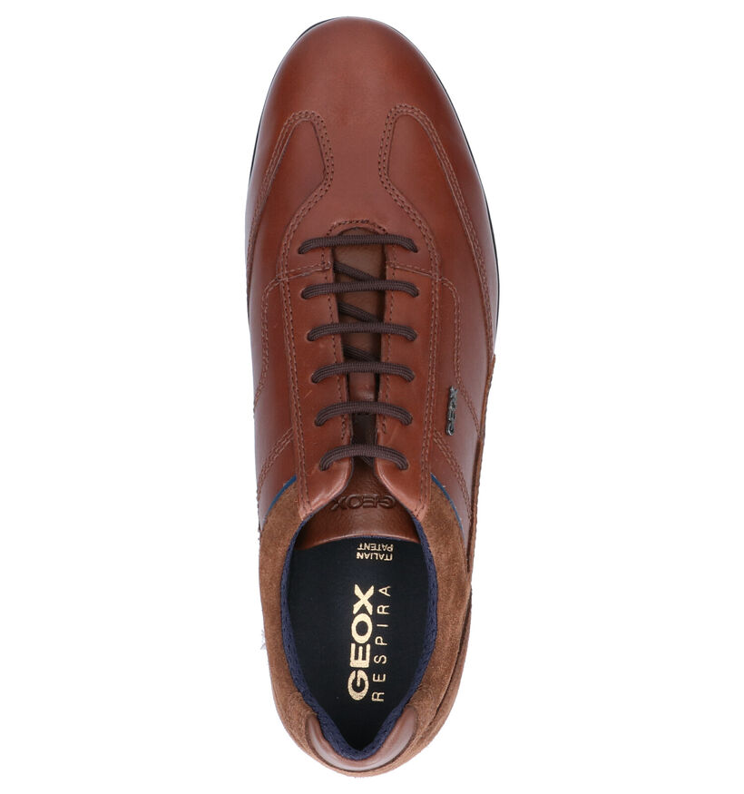 Geox Adrien Chaussures Basses en Cognac en simili cuir (255360)