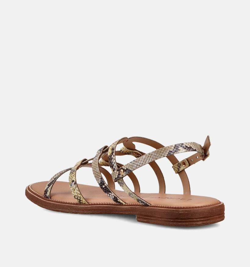 Laurent David Snake Gele Sandalen voor dames (374153)