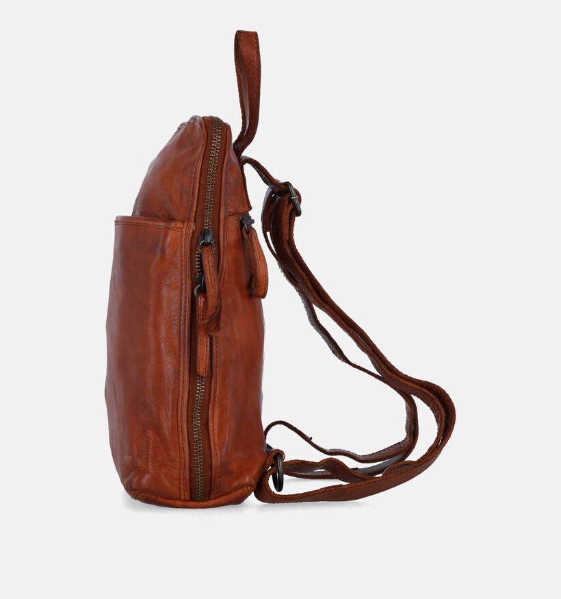Bear Design Zwarte Rugzak voor dames (342798)