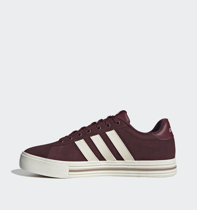 adidas Daily 4.0 Baskets en Bordeaux pour hommes (359505) - pour semelles orthopédiques