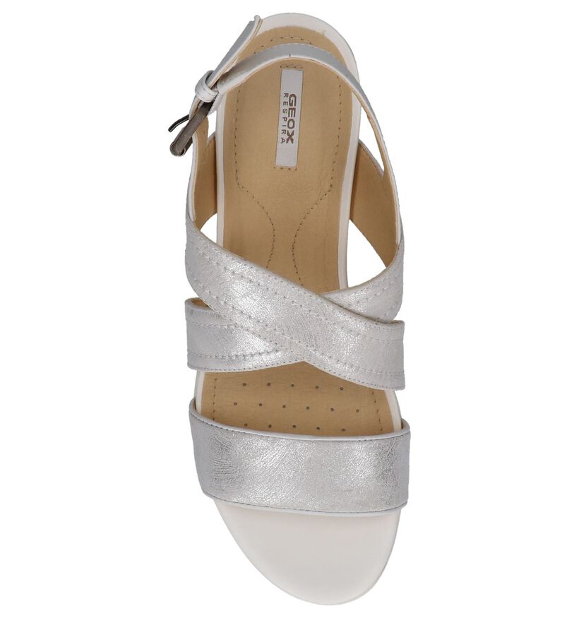 Zilveren Sandalen met Sleehak Geox Marykarmen in leer (220147)