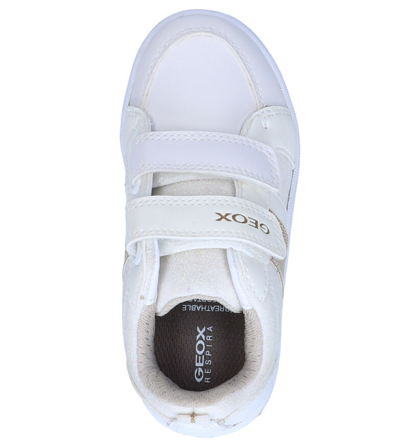 Geox Chaussures basses en Blanc en simili cuir (265776)