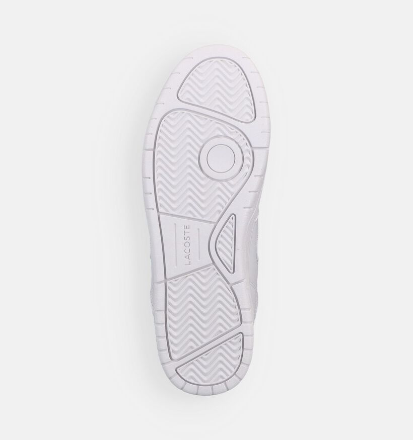 Lacoste Court Cage Baskets basses en Blanc pour hommes (377009)