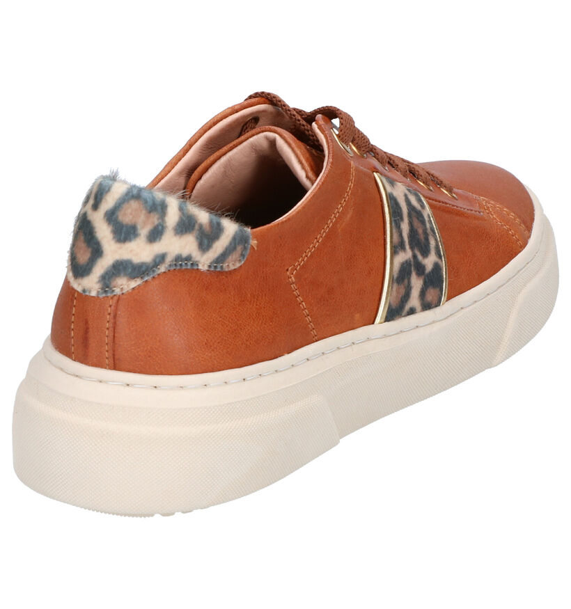 River Woods Cognac Veterschoenen in leer (260285)