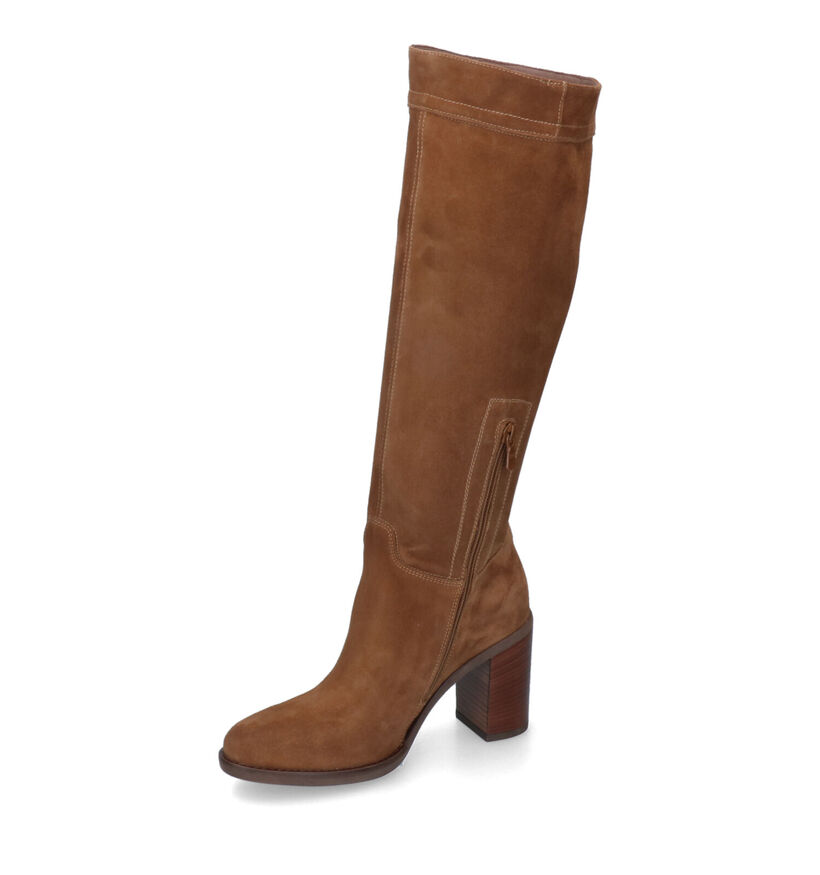 NeroGiardini Bottes hautes en Marron en daim (314606)