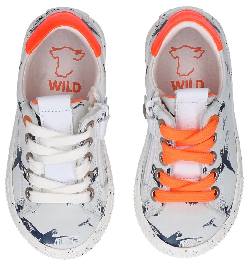 Donkerblauwe Geklede Sneakers Wild in leer (245152)