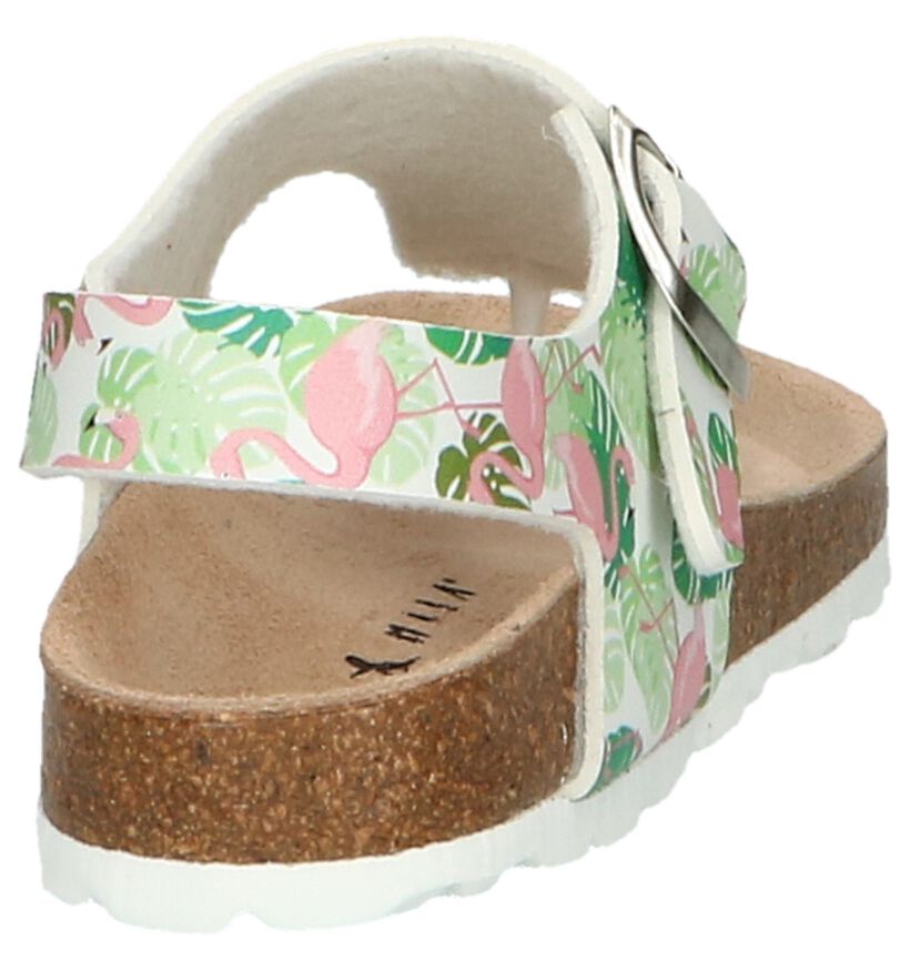 Milo & Mila Sandales en Multicolore en simili cuir (241376)