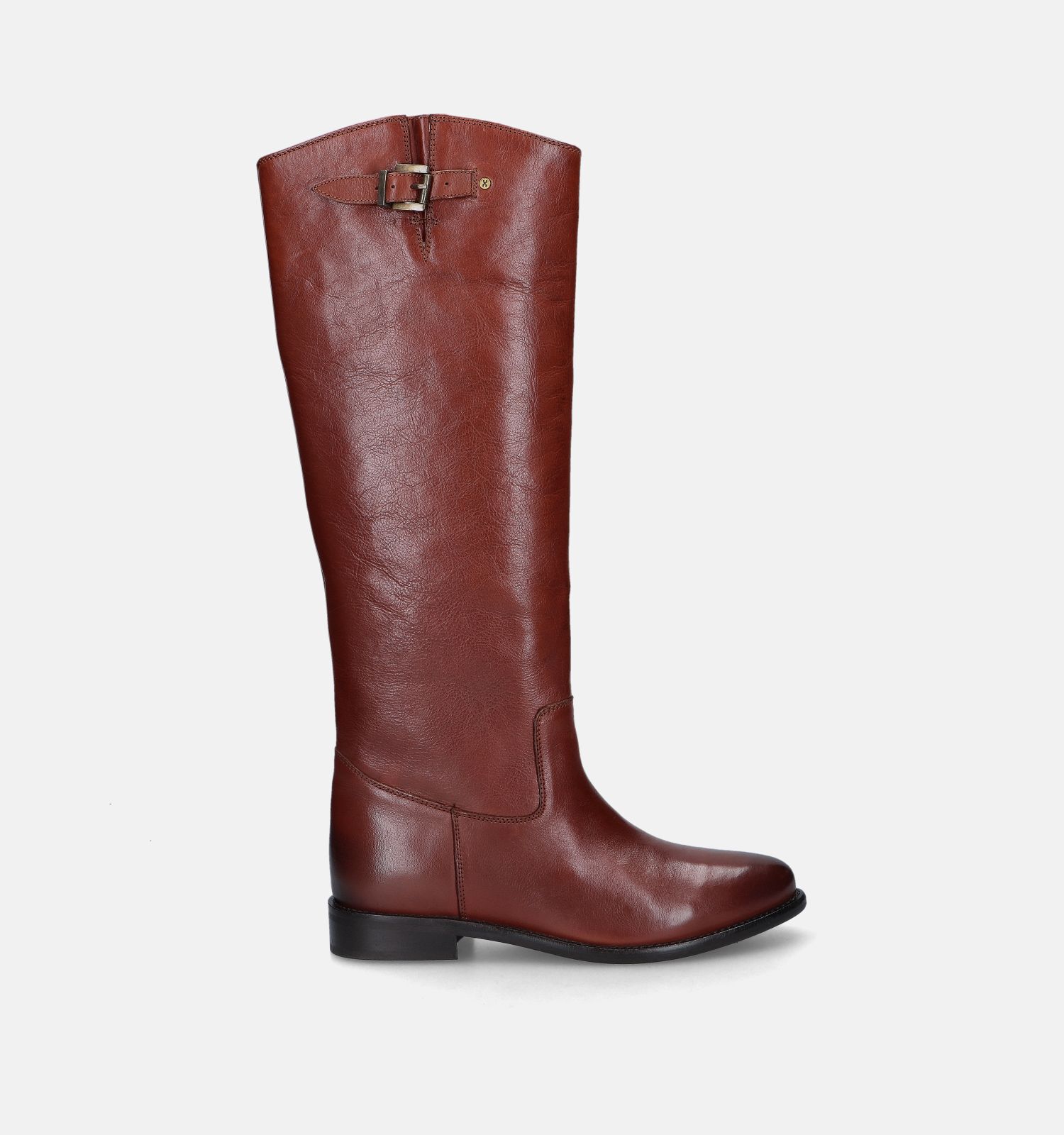 Bronx Fe Lise Cognac Lange laarzen Dames Laarzen Online op TORFS.BE