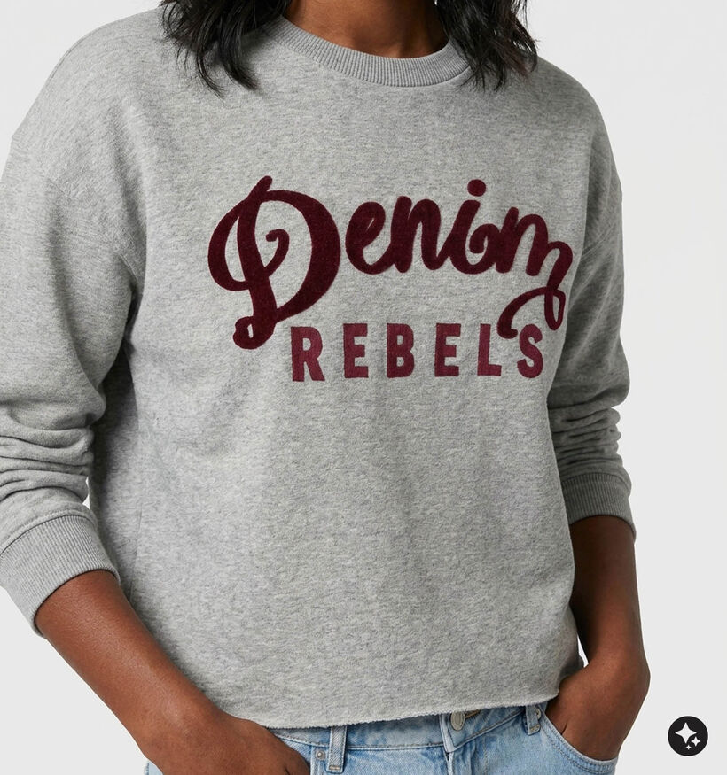 The Shirt Project Denim Rebels Grijze Sweater voor dames (381896)