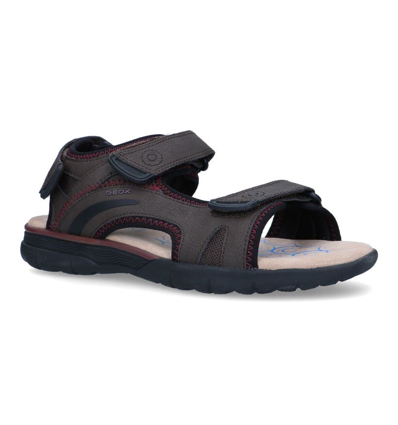 Geox Spherica Sandales en Marron pour hommes (322255)