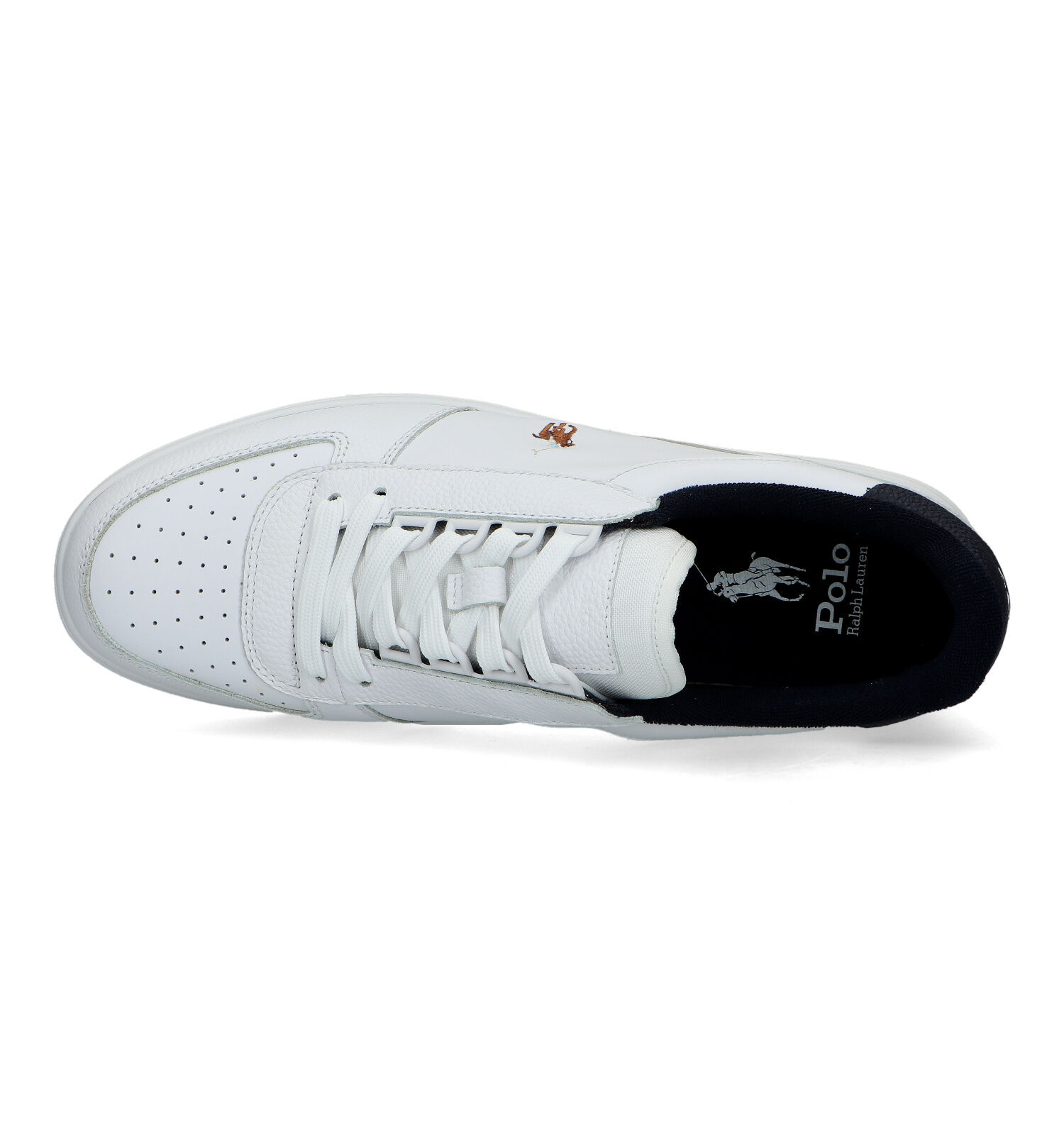 Polo schoenen 2025 heren