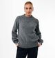 Mexx Embellishment Grijze Trui voor dames (380725)