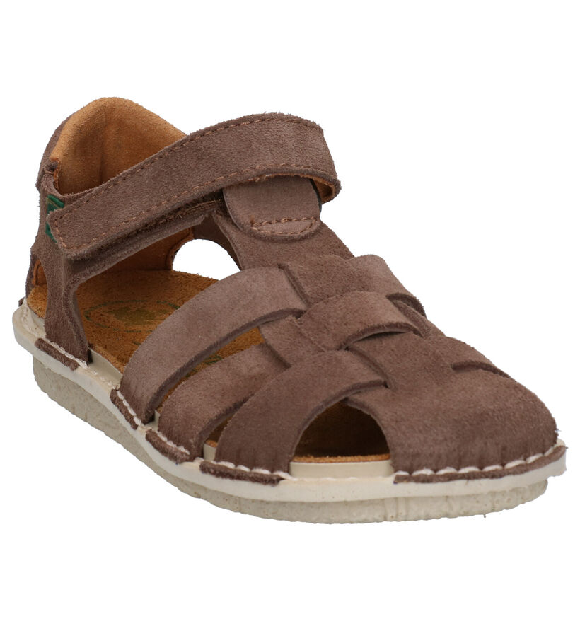 El Naturalista Terra Blauwe Sandalen in nubuck (288640)