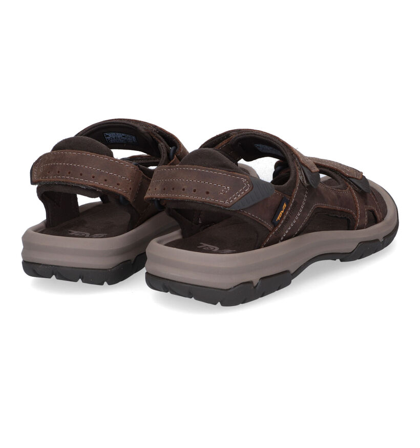 Teva Langdon Sandal Sandales de marche en Marron pour hommes (354633)