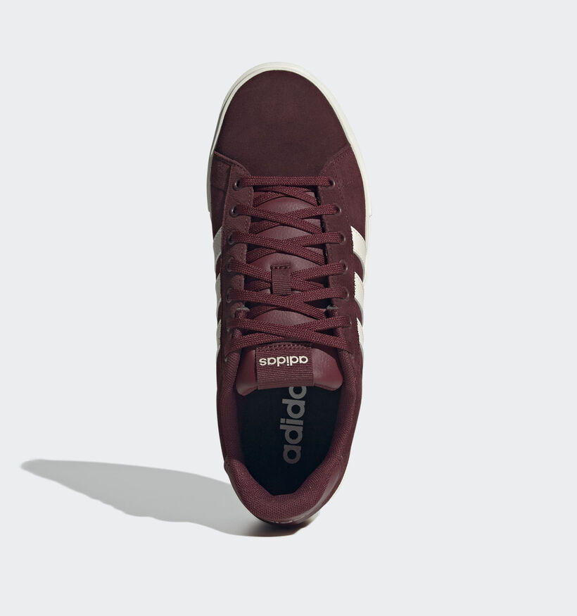 adidas Daily 4.0 Baskets en Bordeaux pour hommes (359505) - pour semelles orthopédiques