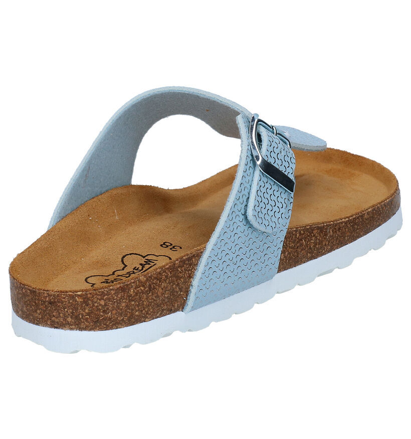 Bio Dream Blauwe Teenslippers in kunstleer (266161)