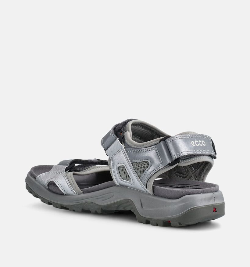 ECCO Sandalen Grijs voor heren (369738)
