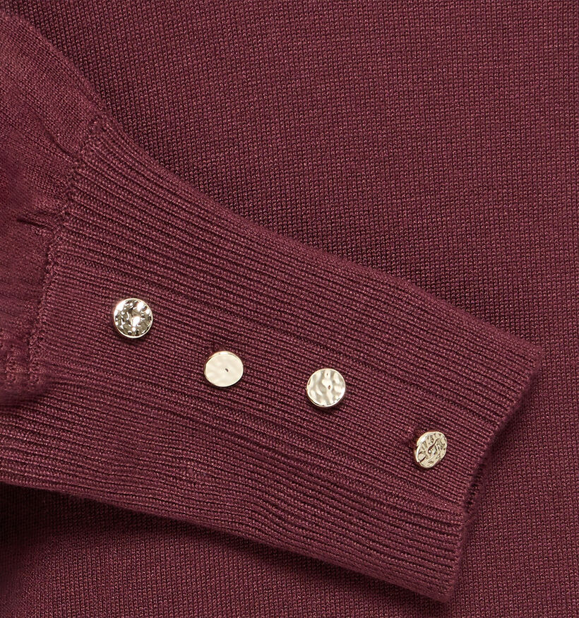 Fransa Mary Bordeaux Trui voor dames (379941)