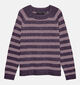 Vero Moda Doffy Paarse Trui met Strepen voor dames (377586)