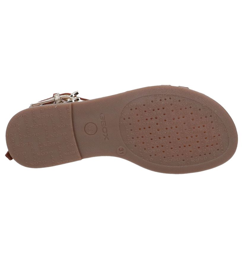 Cognac Sandalen Geox in kunstleer (245021)