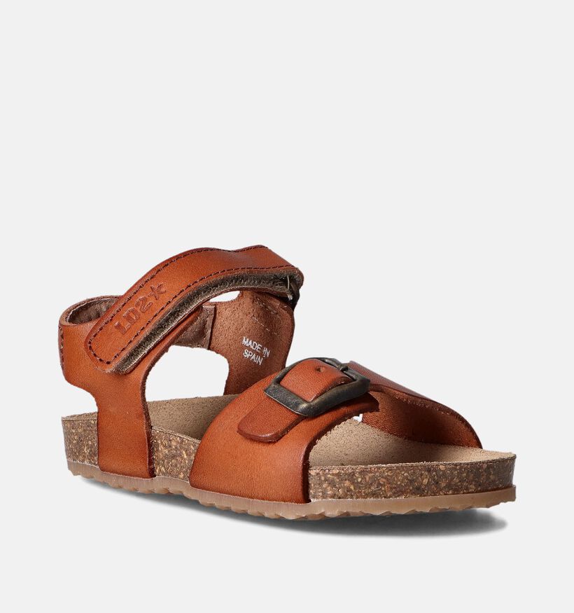 Little David Fabio Cognac Sandalen voor jongens, meisjes (356056)
