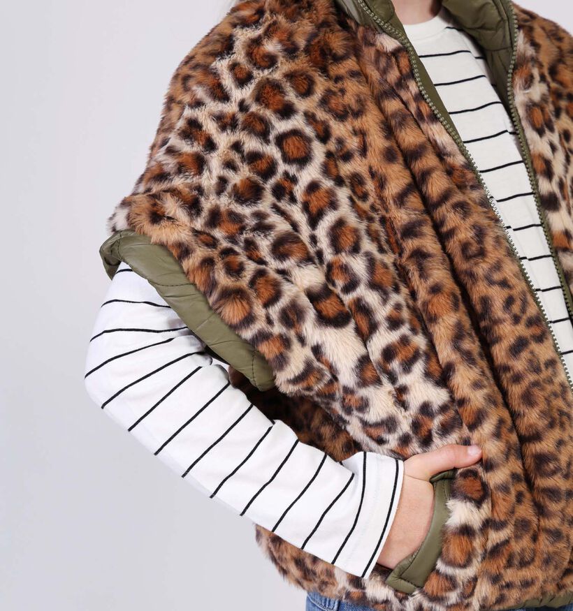 Little David Kakigroene/Leopard Bodywarmer Little David Kakigroene/Leopard Bodywarmer voor meisjes (366525)