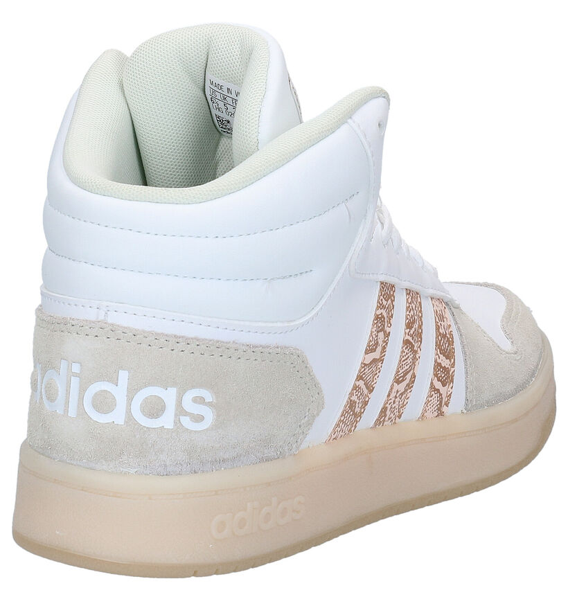 adidas Hoops Baskets en Blanc pour femmes (300158)