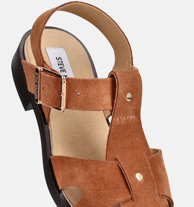 Steve Madden Nado Sandales plates en Cognac pour femmes (372101)