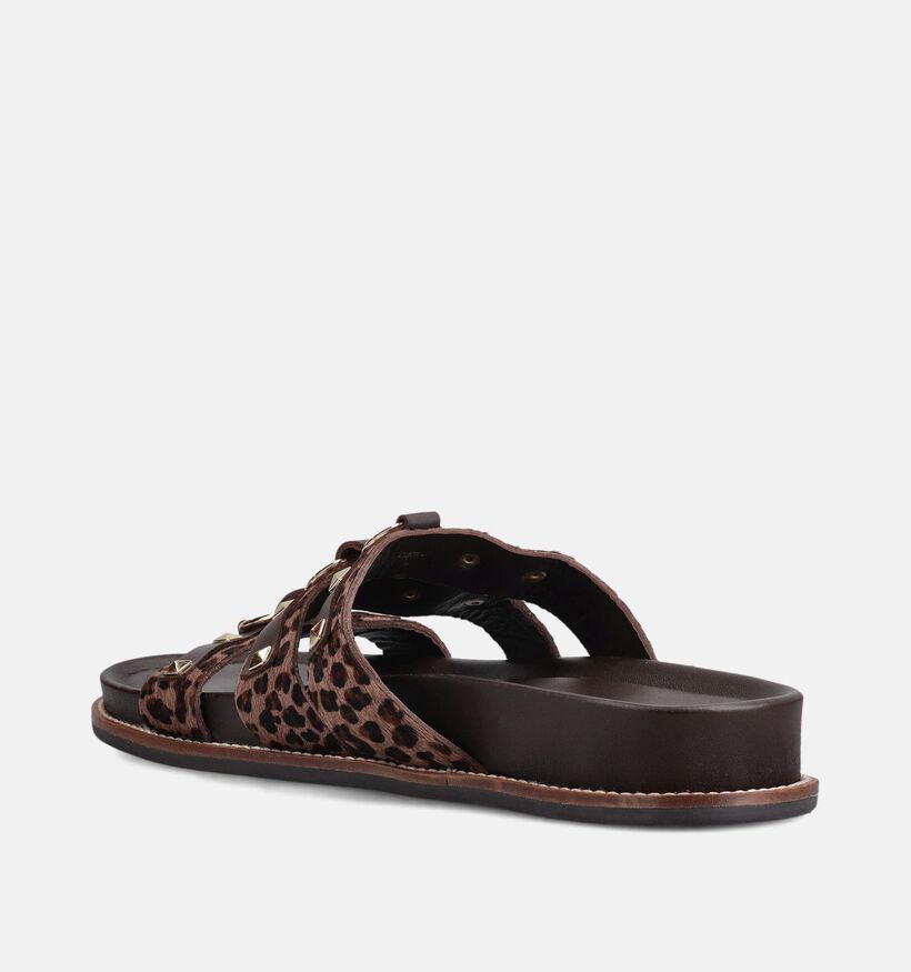 Les Tropeziennes Chyrel Leopard Nu-pieds en Brun pour femmes (373212)