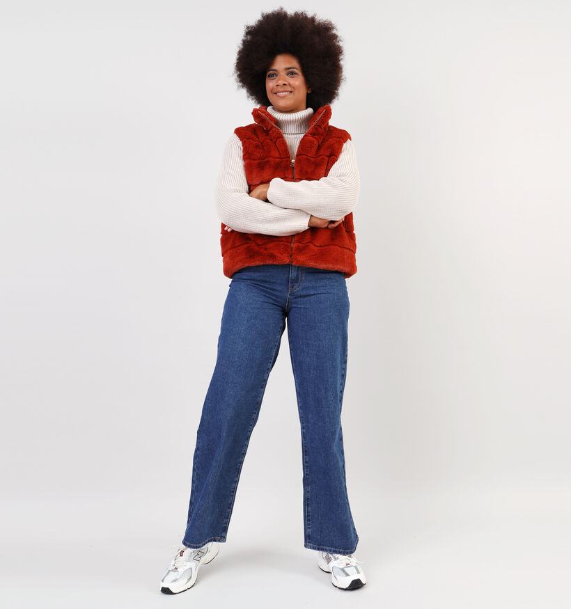 Dolce C. Zwarte Korte fluffy bodywarmer voor dames (358478)
