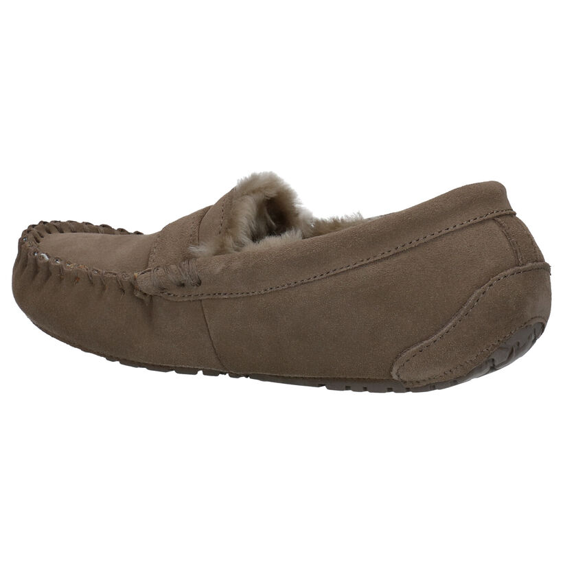 Warmbat Nowra Cognac Pantoffels voor dames (315167)