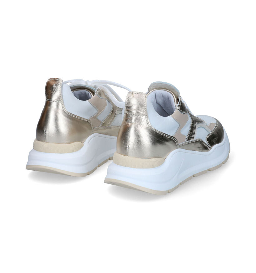 Hip Witte Sneakers voor dames (308182) - geschikt voor steunzolen