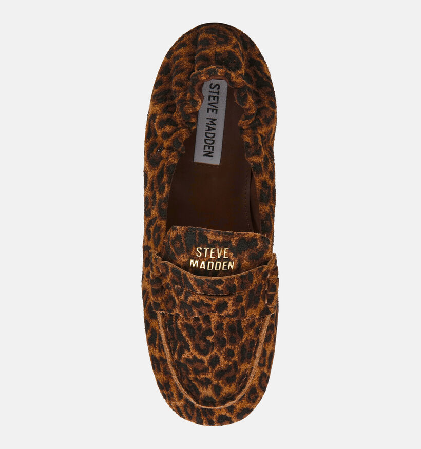 Steve Madden Newbury Bruine Loafers voor dames (378157)