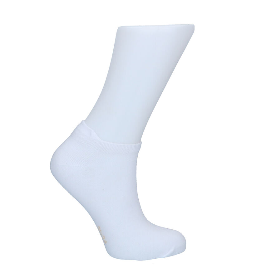 Teckel Socks Zwarte Enkelsokken (292402)