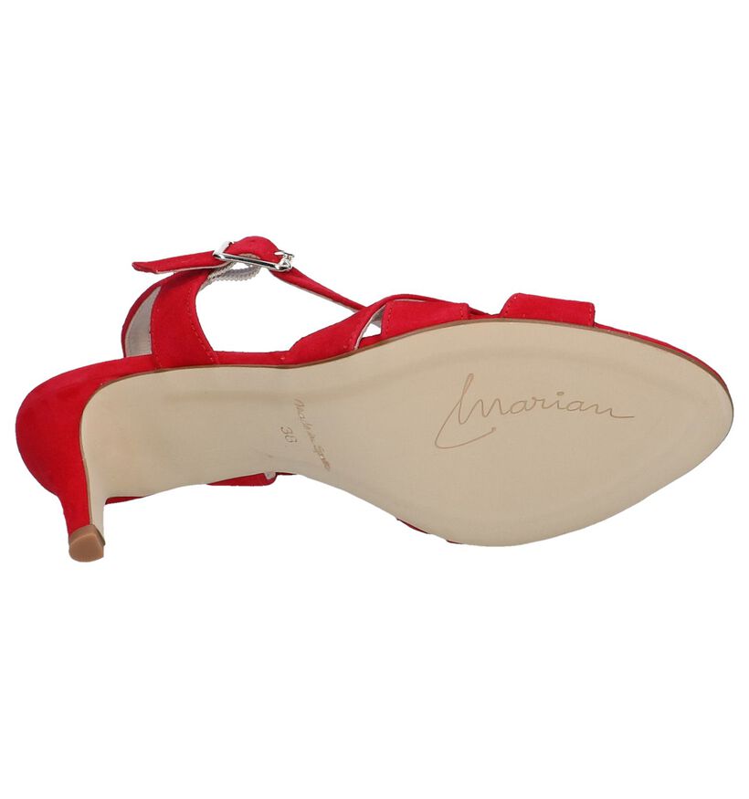 Marian Sandales à talons en Rouge foncé en nubuck (249286)