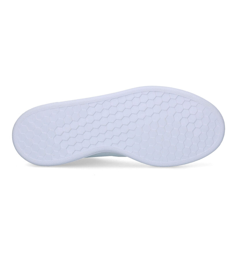adidas Advantage Baskets en Blanc pour femmes (341435)