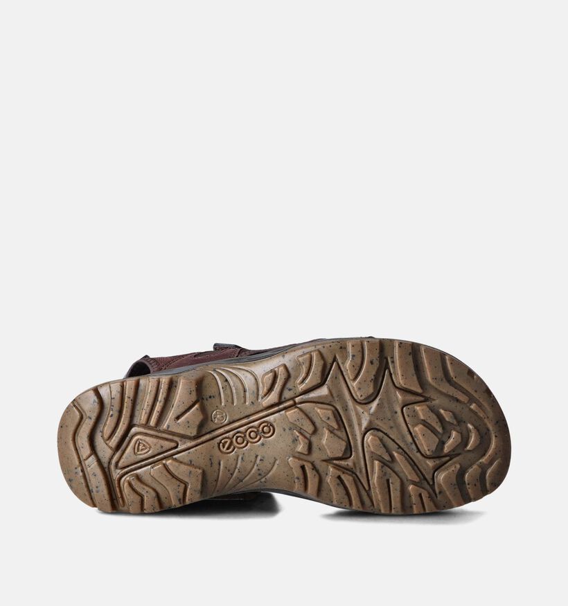 ECCO Offroad Yucatan Bruine Sandalen voor heren (353374)