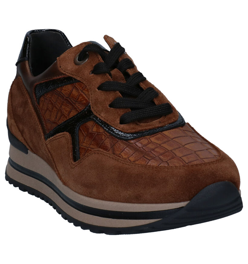Gabor Comfort Chaussures à lacets en Cognac en cuir (297401)