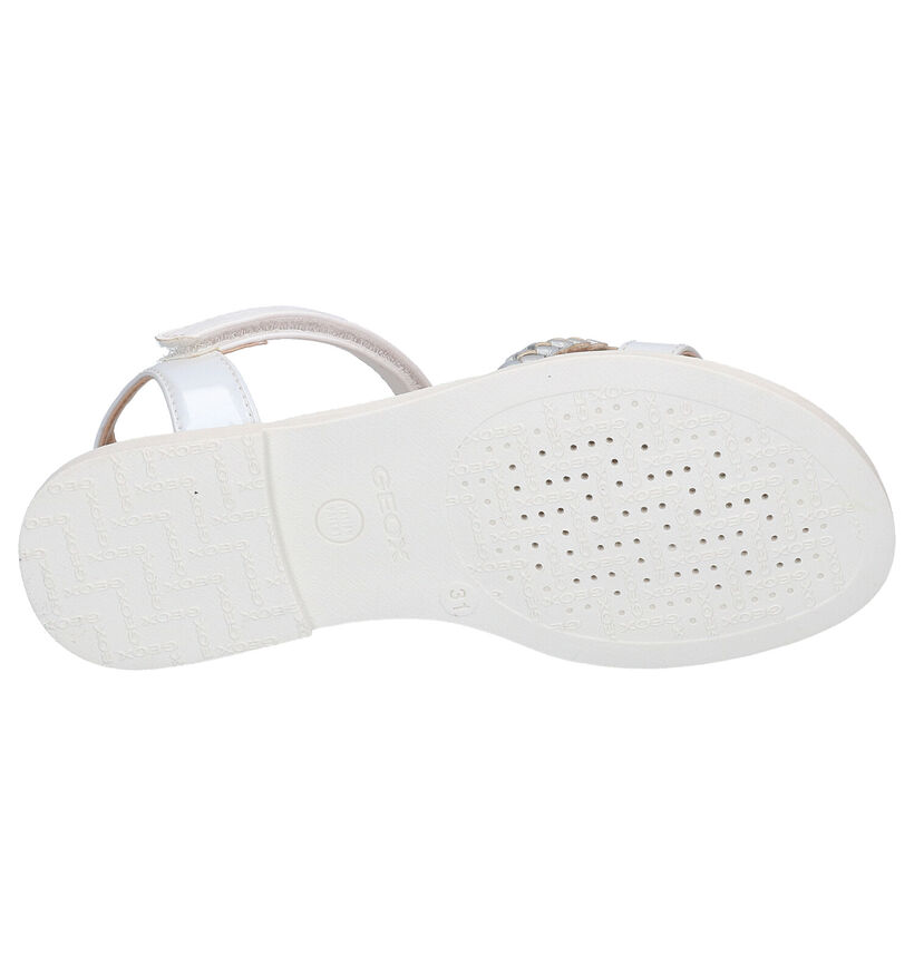 Geox Witte Sandalen in kunstleer (267464)