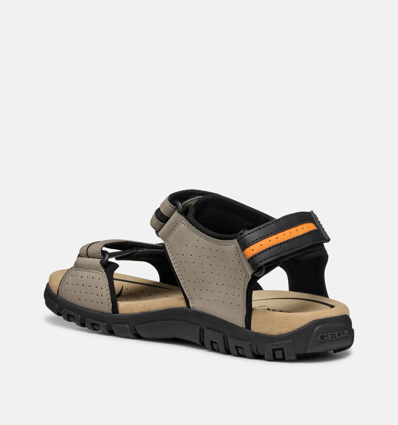 Geox Beige/Zwarte Sandalen voor heren (369122)