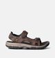 Teva Langdon Sandal Sandales de marche en Marron pour hommes (354633)
