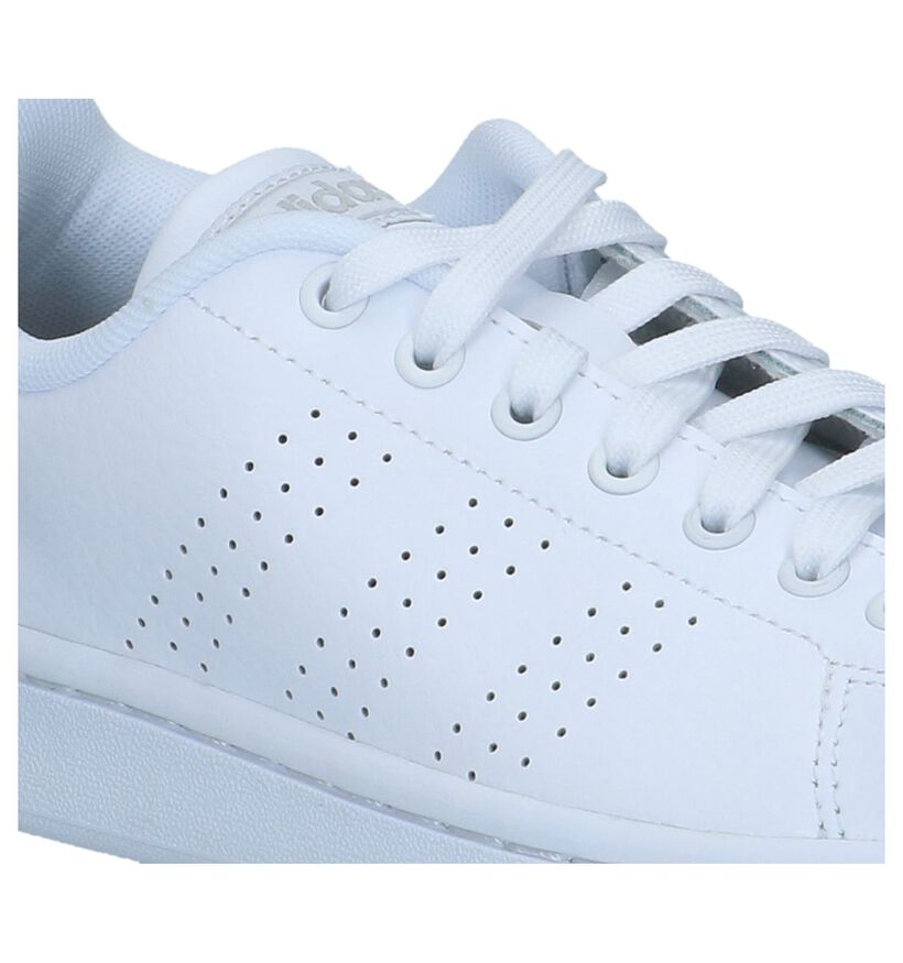 adidas Advantage CL Witte Sneakers in kunstleer (237075)