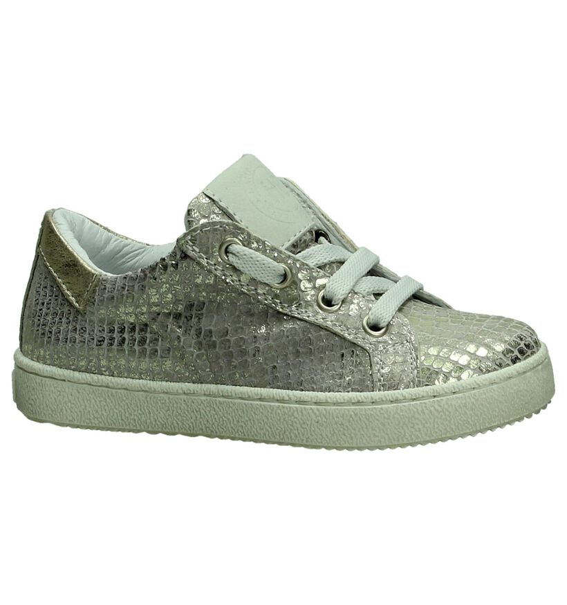 Hampton Bays Zilveren Metallic Sneakers in nubuck (189858)