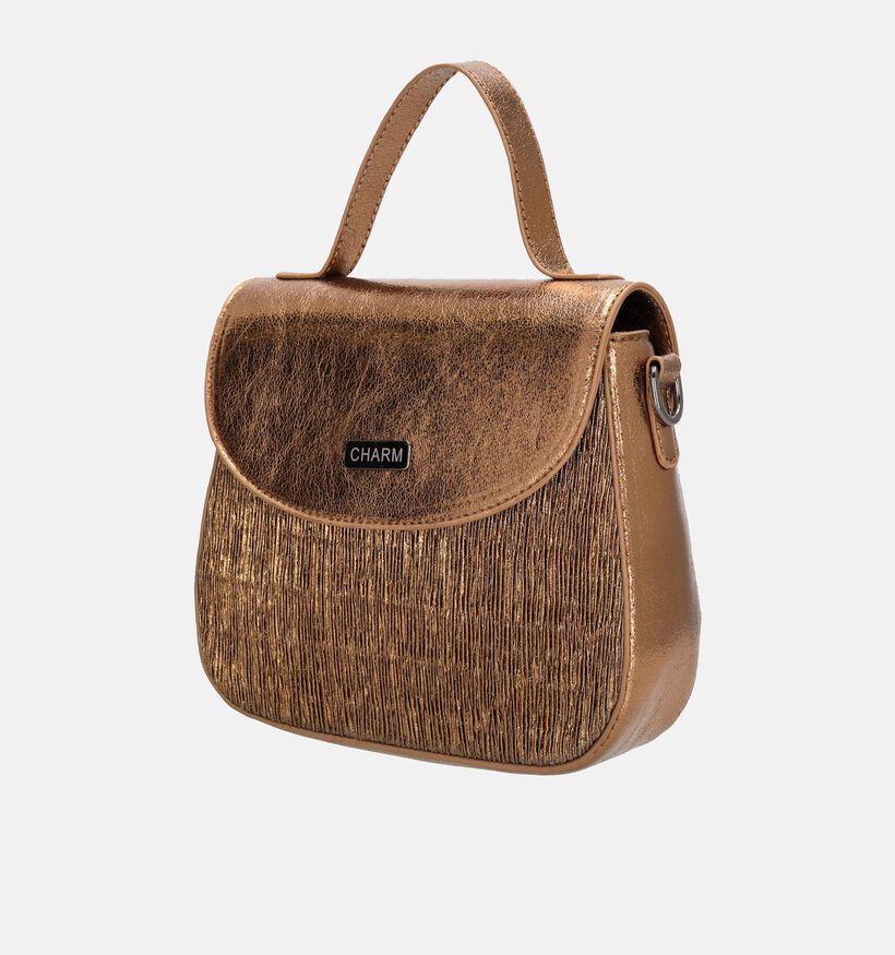 Charm London Sac à main en Bronze pour femmes (353609)