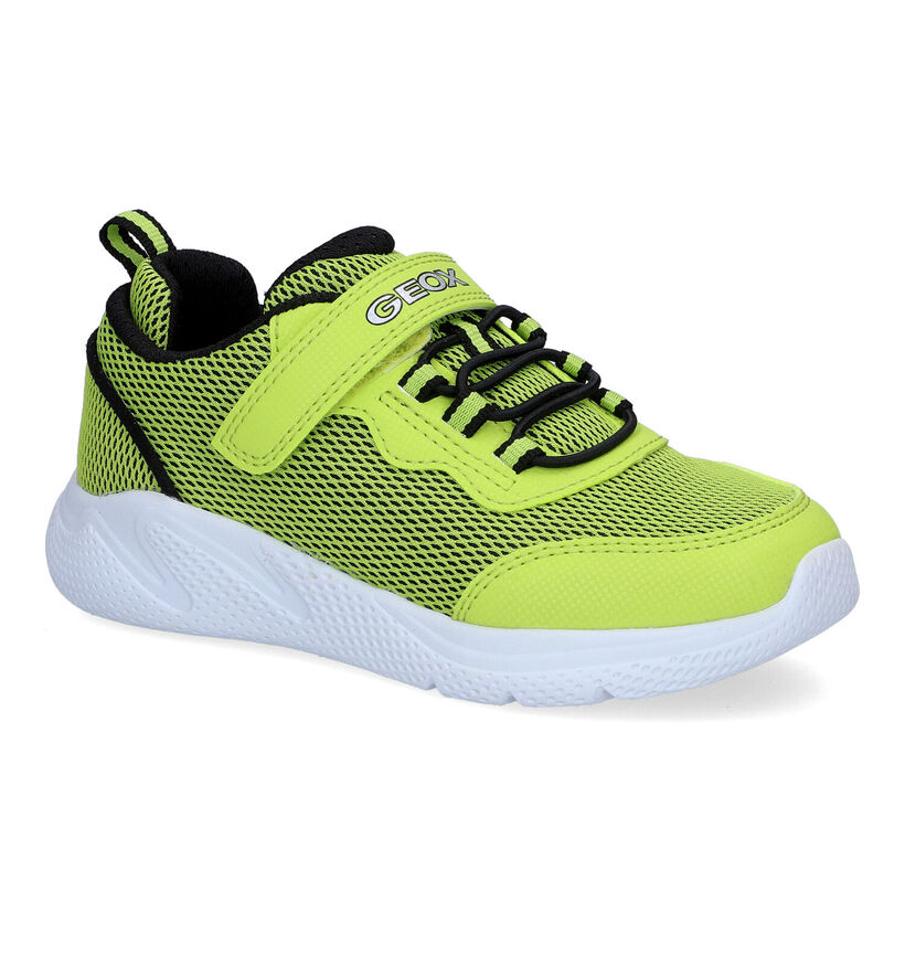 Geox Sprintye Baskets en Vert en simili cuir (311046)